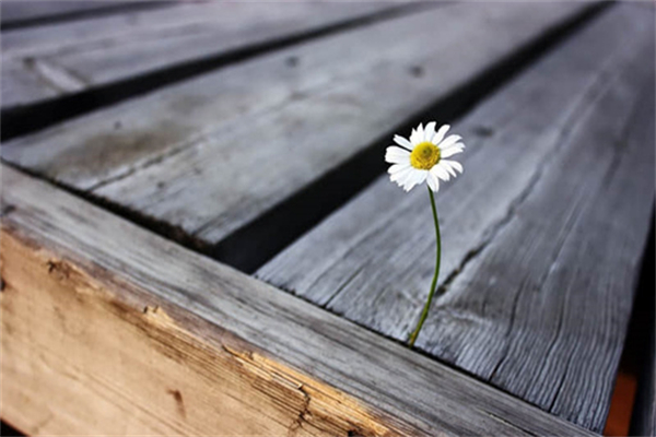 高处作业又称什么-高处作业是指什么以上的作业