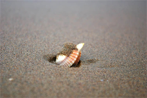 放水服务是什么意思-放水是指什么