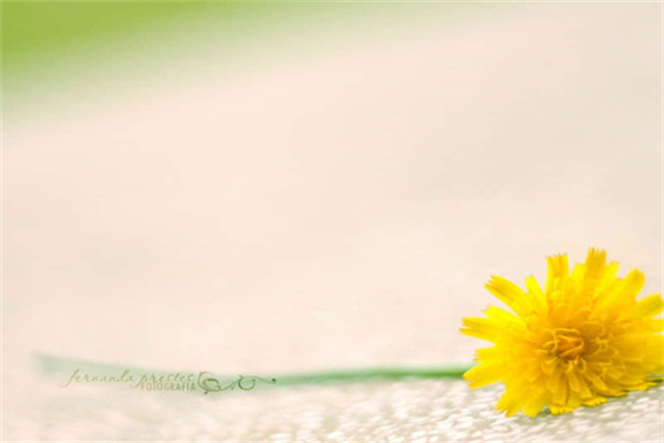 苹果怎么截屏 方法-苹果怎样截屏? 方法