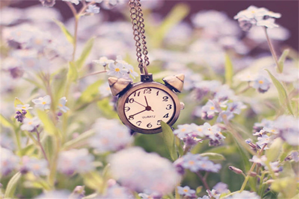 马了顶大什么梗-马了顶大的英文怎么写