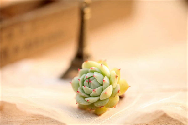 小法是什么动漫-小法动漫角色