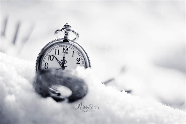 诺必寡前面是什么-诺必寡的前一句和后一句