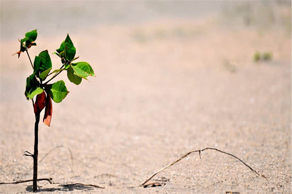专升本全日制怎么报名