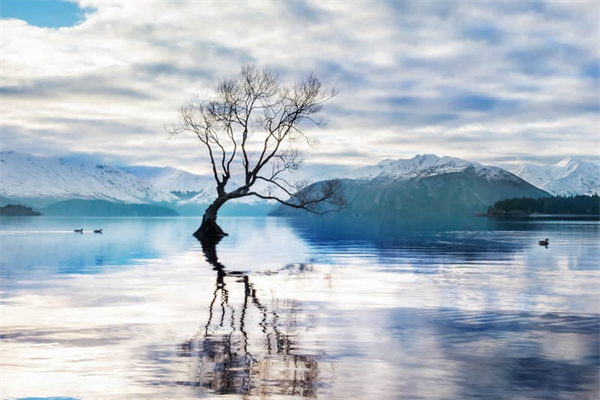 煮生蚝需要放什么材料-煮生蚝需要多长时间需要放什么材料