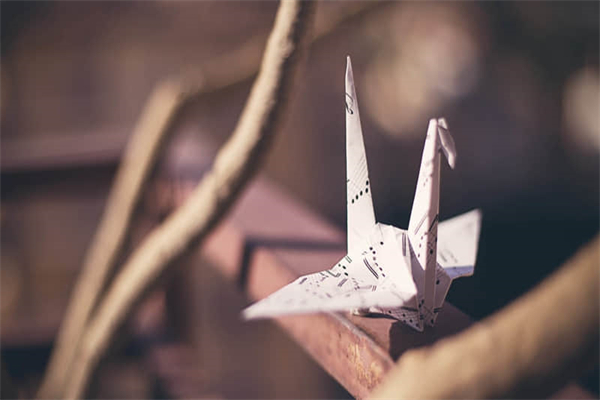 荞麦面真的是零脂肪吗-荞麦面真的是零脂肪吗为什么