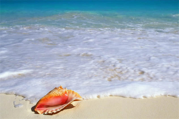 望夫石的女子叫什么-望夫石的女人叫什么