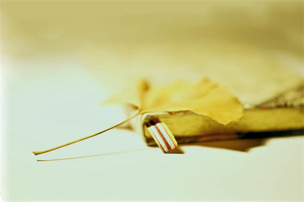 体温37.2能坐高铁吗-体温37.3能做高铁吗