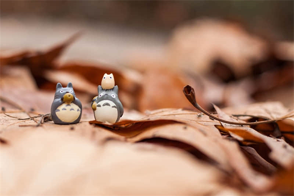 北京城六区是哪几个区-北京最穷的四个区