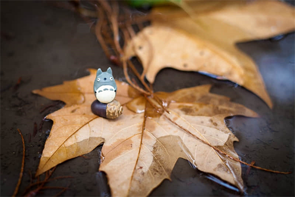 坐飞机面膜可以带多少片-上飞机面膜可以带多少片