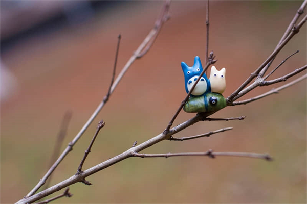 智利车厘子上市时间-智利车厘子大量销往中国是什么季节