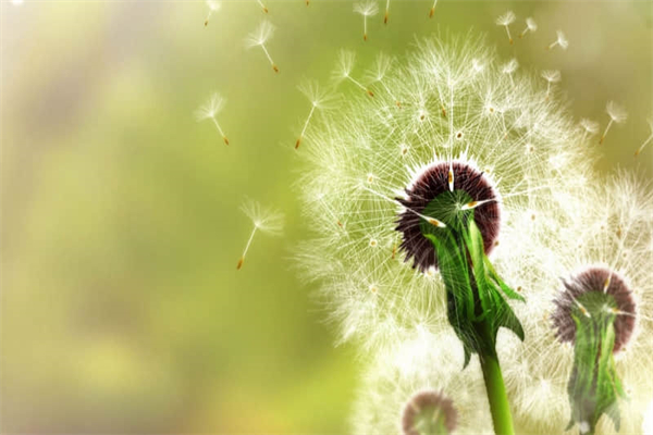 最爱用英语怎么翻译-最爱 用英语怎么说