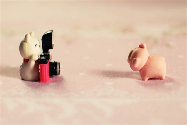 老苦瓜能吃吗-苦瓜老了红了怎么吃