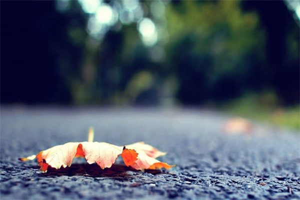 啤酒和奶茶能一起喝吗-奶茶和啤酒能一块儿喝吗