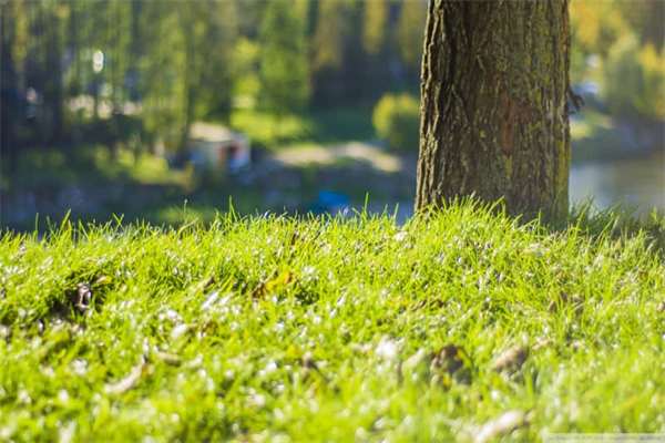 台州属于什么流域