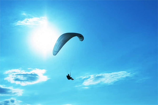 什么是有机化合物