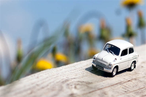 印度玛莎拉什么东西-印度玛莎拉什么东西好吃