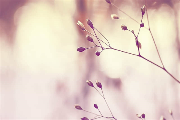 建筑工程一切险是什么-工程一切险一般多少钱