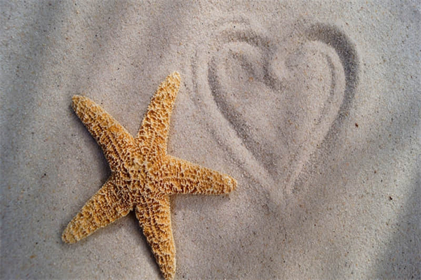 广州玩具批发城在哪里-广州玩具批发城在哪里进货