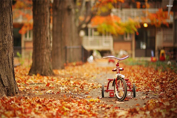 磷酸二氢钠为什么是正盐-磷酸二氢钠是不是正盐