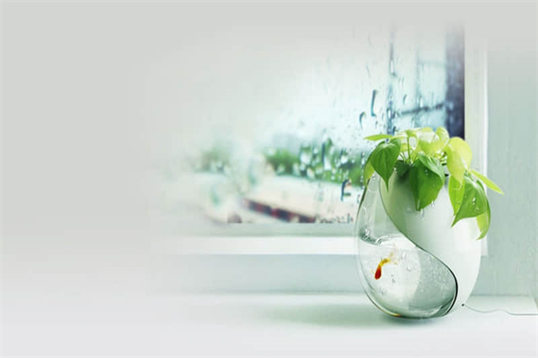 槐花粉不放石灰水的做法-做槐花粉不放石灰水可以吗