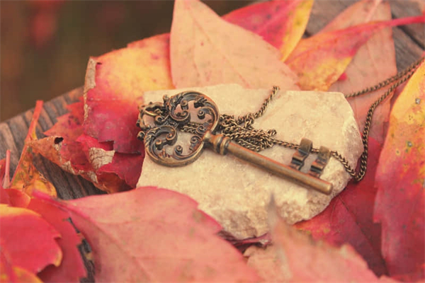 花倒春是什么意思-花到春是什么意思