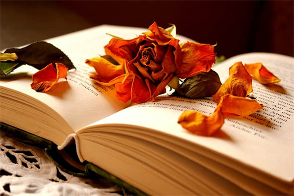 长江的诗句-长江的诗句有哪些