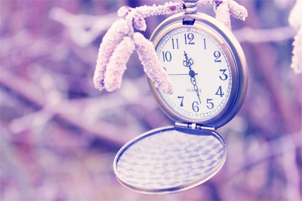 小青蛙吃什么食物