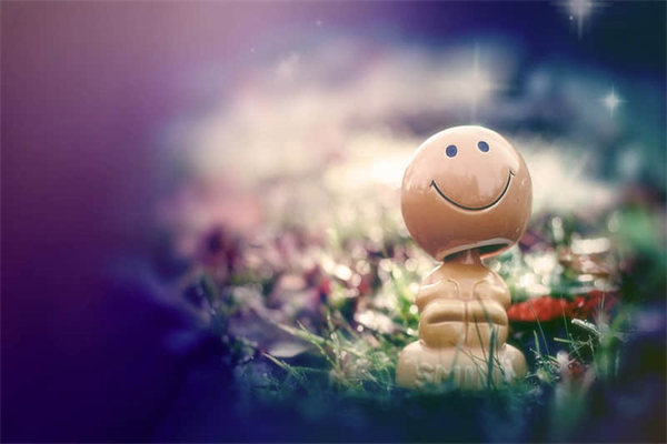 剩下的生蛋黄能做什么