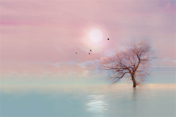 山东省一分一段表怎么看-如何看懂山东一分一段表