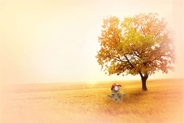 北京二锅头多少度-北京二锅头多少度?