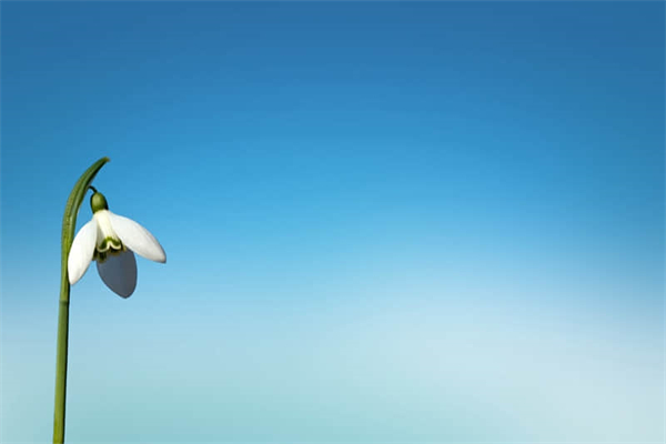 真嗣手冲是哪一集-真嗣打手冲