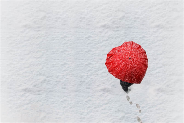 玄凤鹦鹉秃头是什么原因-玄凤秃头了怎么办