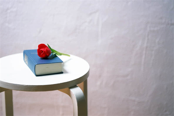 粘土怎样制作方法