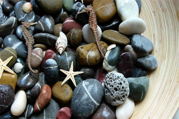 紫甘蓝怎么做菜-紫甘蓝怎么做菜?