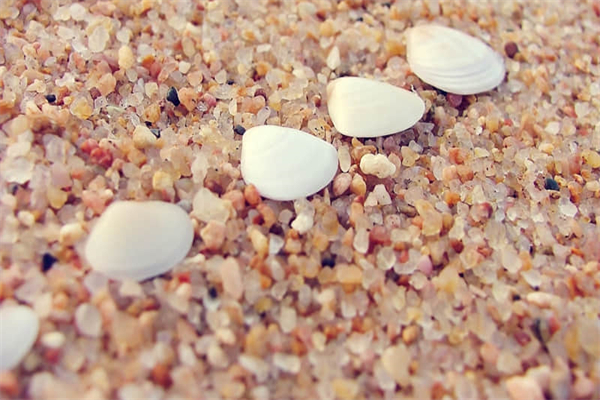 阿里邮箱怎么注册账号-阿里邮箱怎么注册账号和密码