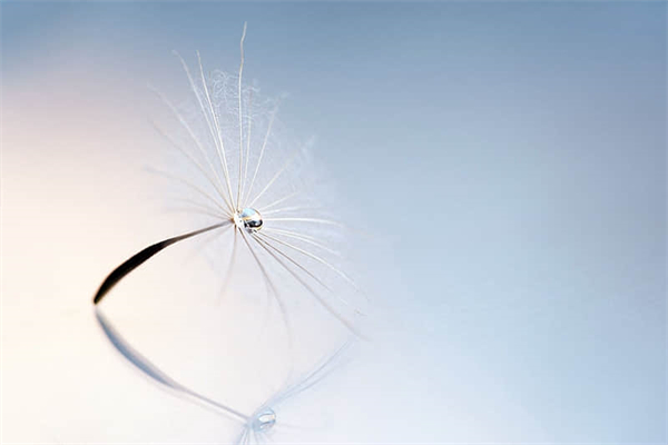 28调是什么意思-钓鱼竿19调和28调是什么意思