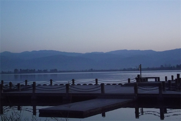 菊花有哪几种-菊花有哪几种形态