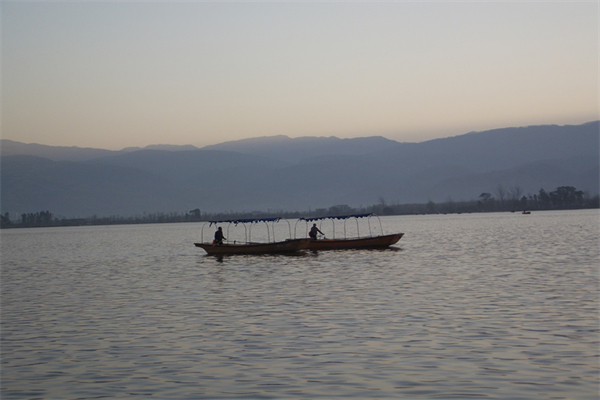 鲫鱼喜欢吃什么菜叶-鲫鱼喜欢吃什么草?