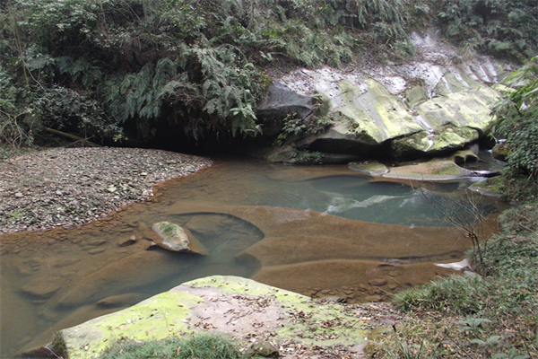 北京什么花澳门什么花-北京,洛阳,香港,澳门分别是什么花