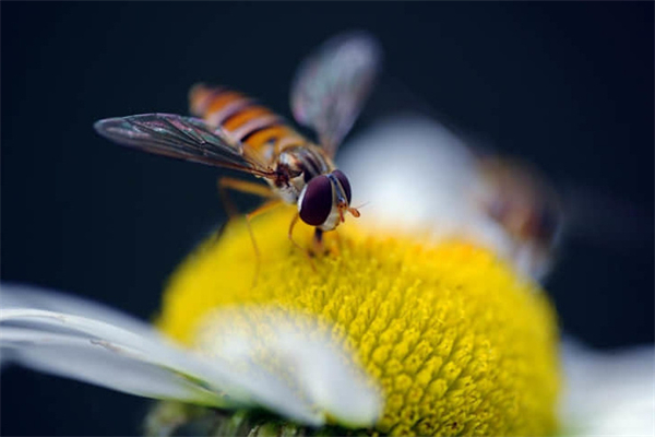 炒熟的海带过夜能吃吗-炒熟的海带放冰箱保鲜隔夜能吃吗