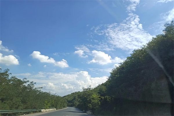 木棉花的味道是什么梗