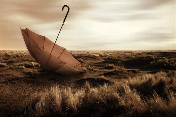 一岁一礼出自哪里