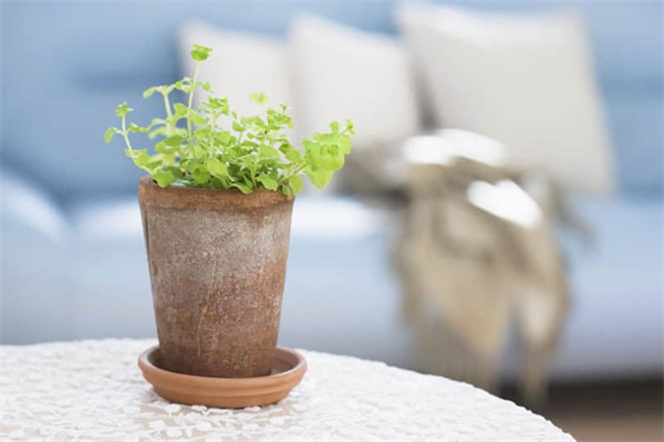 多少毫升不能带上飞机-多少毫升不能带上飞机吗