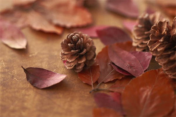 小苏打怎么用于清洗