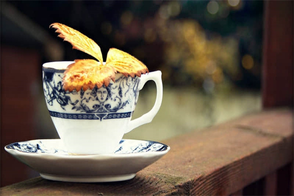 求几种烤鱼的制作方法-求几种烤鱼的制作方法和配料