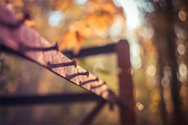 饺子馅稀了怎么办呢-饺子馅稀了咋办?