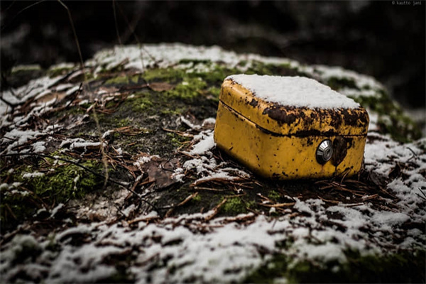 仙人掌记录卡怎么写-仙人掌记录卡怎么写别名