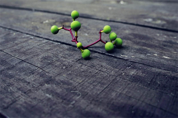 火车进洞啥意思-火车进洞是什么意思污的