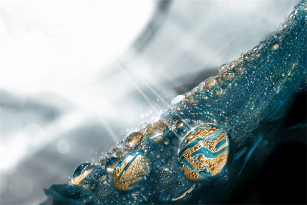 110米栏高多少-13米高栏