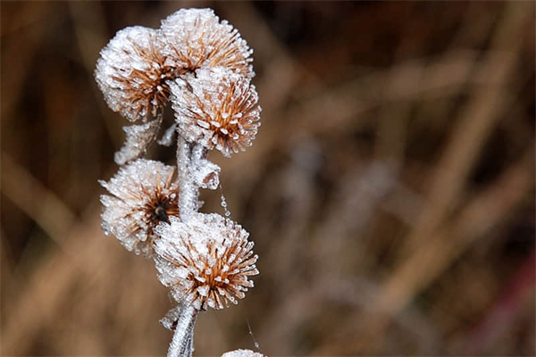 cut up的用法-cutup的用法